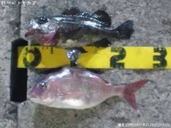 �ޥ�������Х�