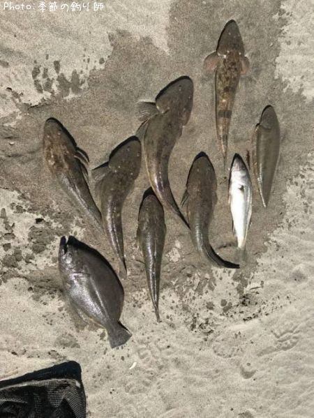 �ޥ������ҥ�ᡢ�����Х�