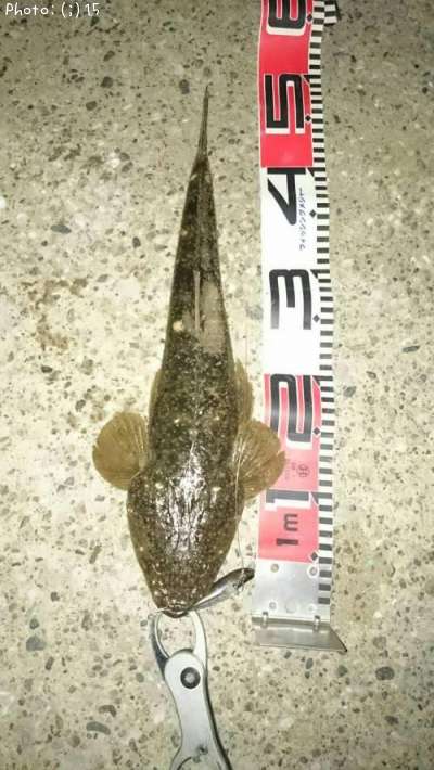 �ޥ����������Х�