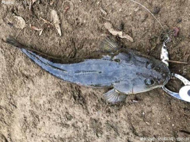 �ޥ�������������