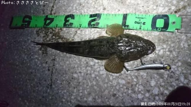 �ޥ������勵�ꥬ�ˡ��ĥХ�������