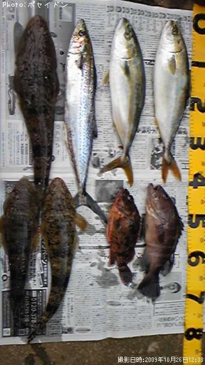 �ޥ������䥺������������������������