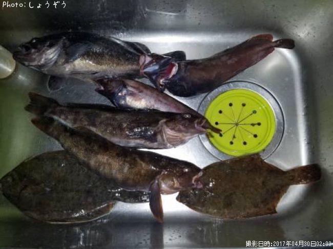 �ޥ����쥤���������������֥�ᡡ�ɥ�