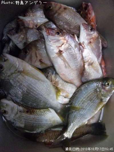 ���䡢�ޤʤ����٥�