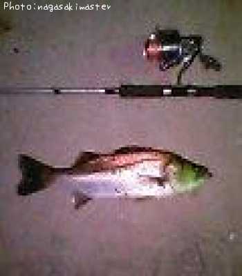 �ޥ륻����