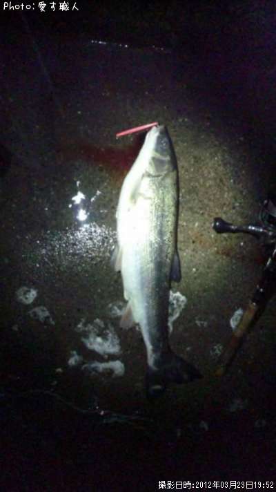 �ޤ뤿����