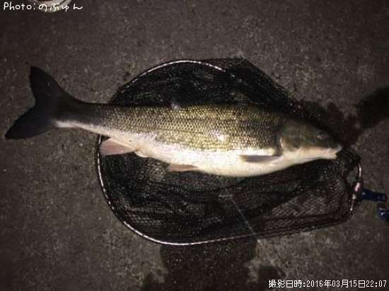 �ޥ륿������