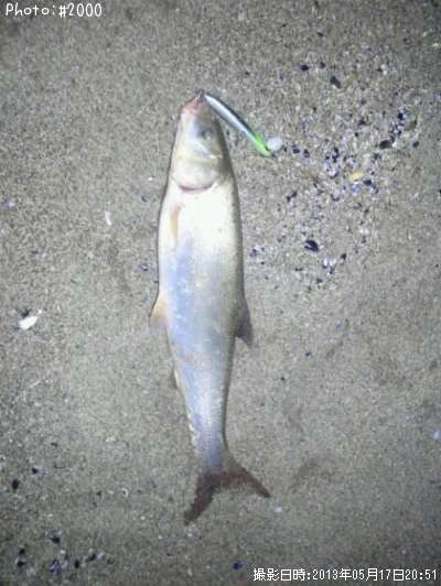 �ޥ�ƥ����ˣʣ�