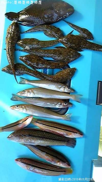 �ޤ���������ã�ʾС�