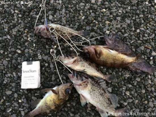 ��Х롢���֥�ᡢ����