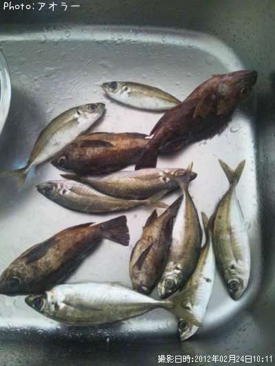 ��Х롢����