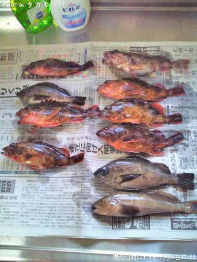 ��Х롦�����顦�����ʥ�