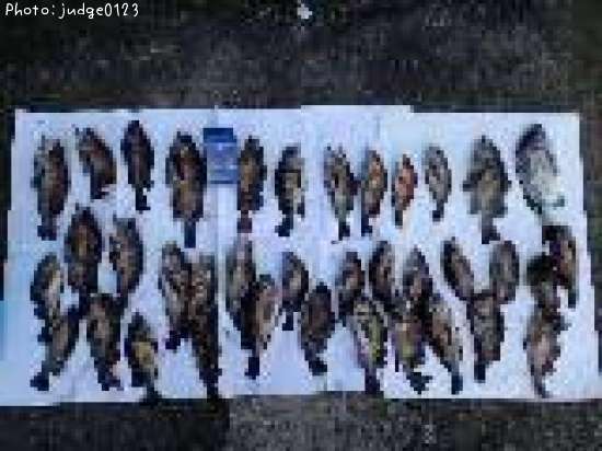 ��Х롢�����顢����