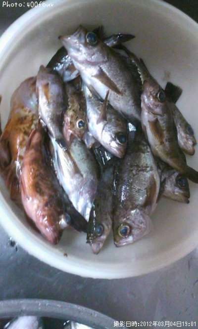 ��Х롡�����������