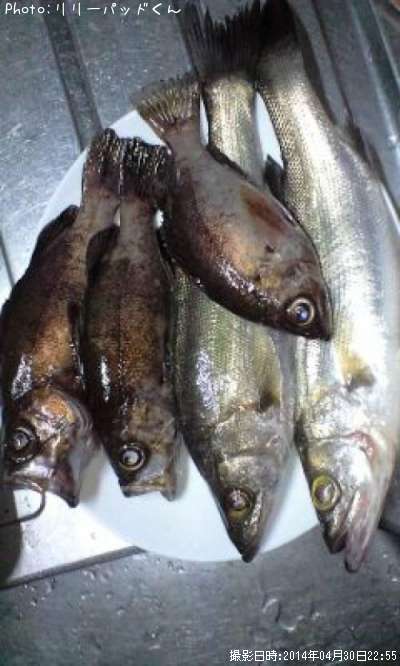 ��Х������ȥ���������