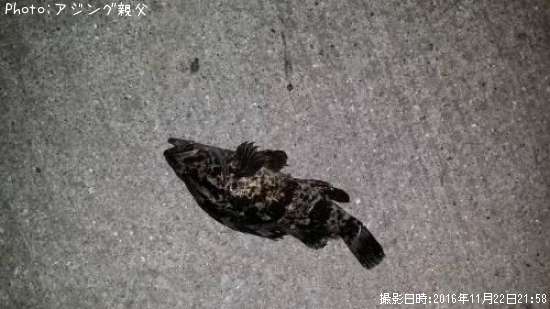 ��Х롢�����Υ���������