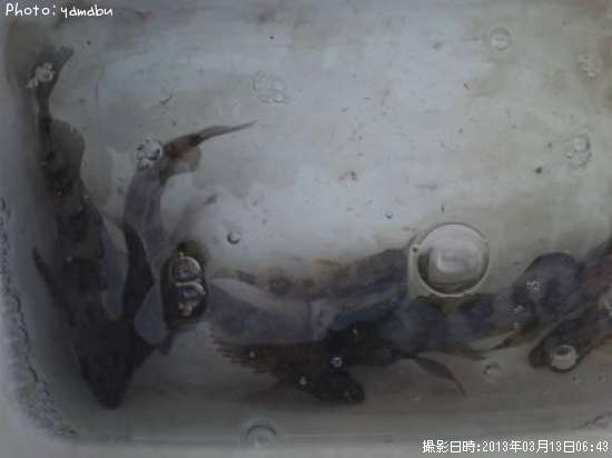 ��Х롦�����Υ���Х�