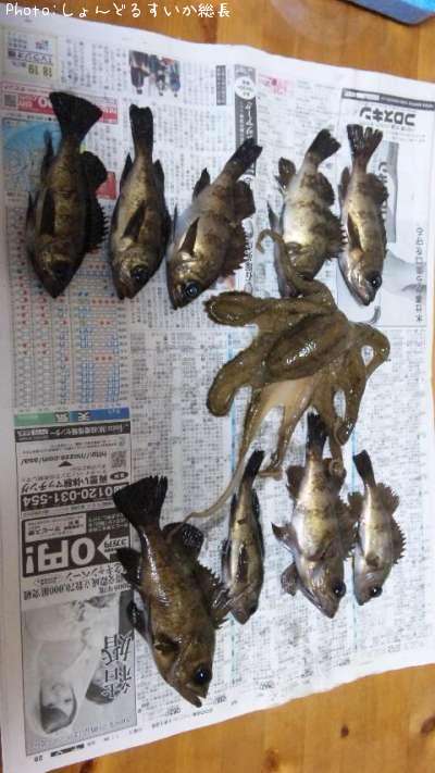 ��Х롢����