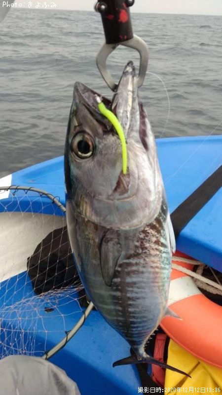 �᥸�ޥ���