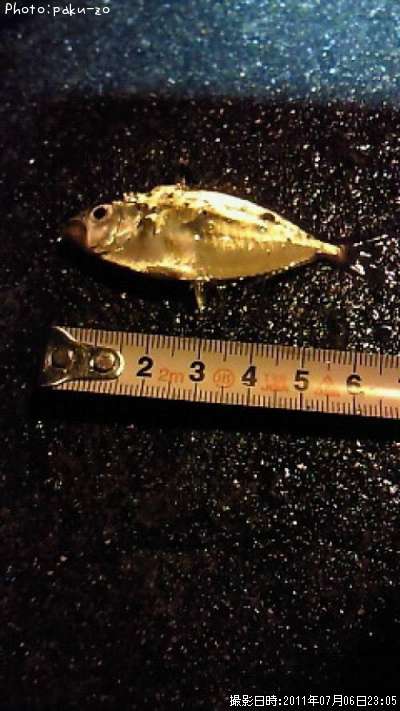 ��å�����