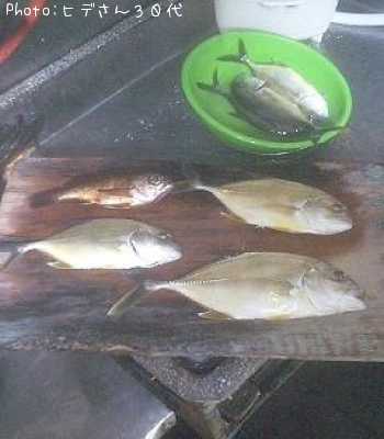 ��å�����Х�