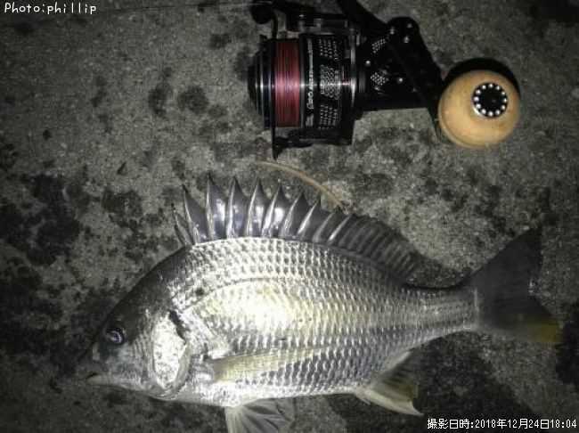 ��꡼���ӥ�ޥ���