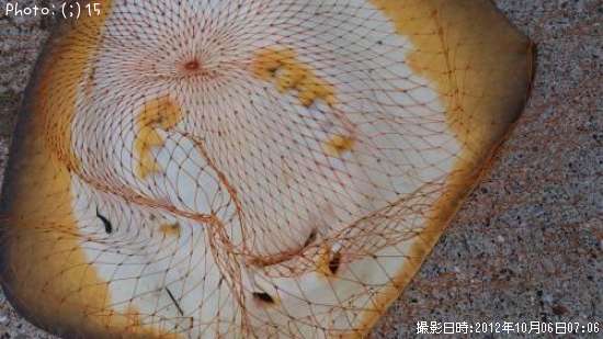 �᥿�ܤ���