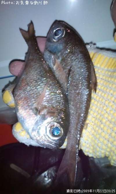 �ߥʥߥϥ����