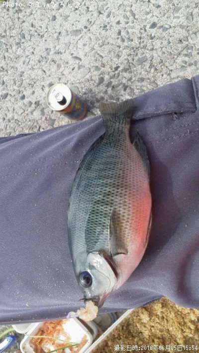 �ߥˡ��᥸��