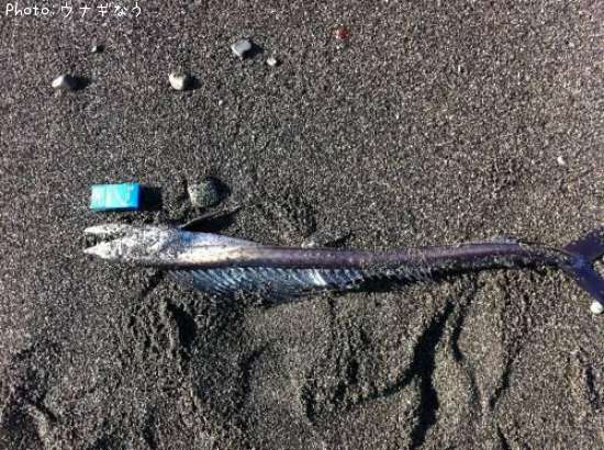 �ߥ�����