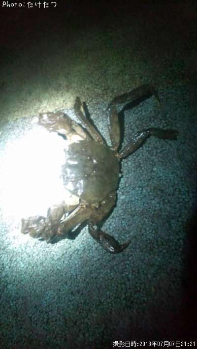 �⥺������