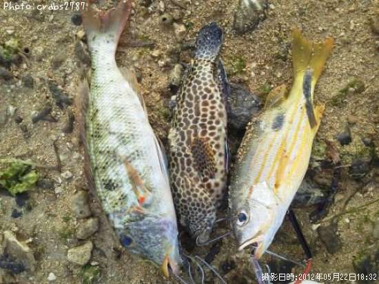 ��ͥ���������