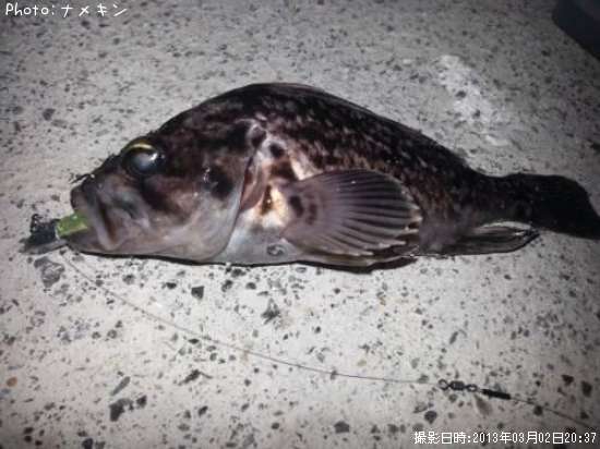 ��饽�����ߥ�