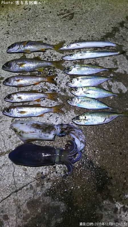 ��ġ����������ޥ��������ꥤ��