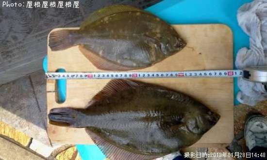 �ʥ��������쥤�ʾС�