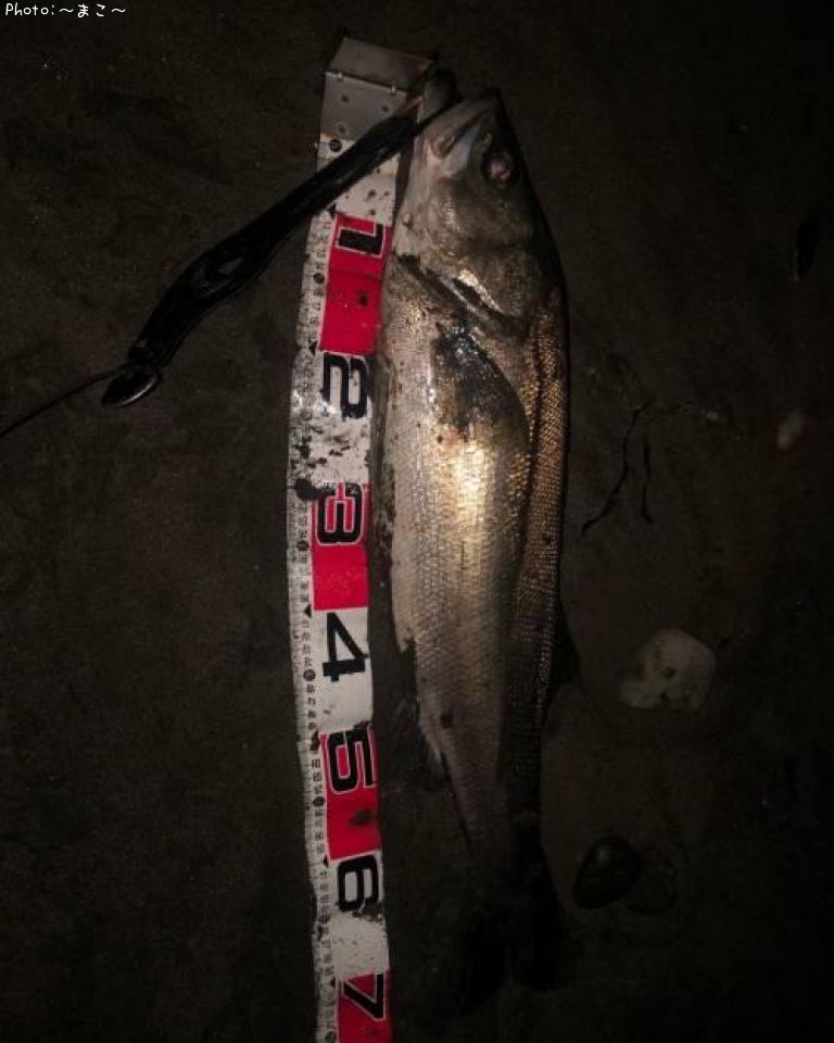 �ʥ��ȥ����ե����Х�