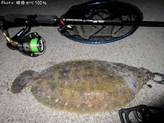 �ʥ᥿���쥤