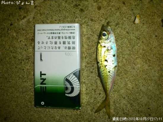 �ʥ����饢��