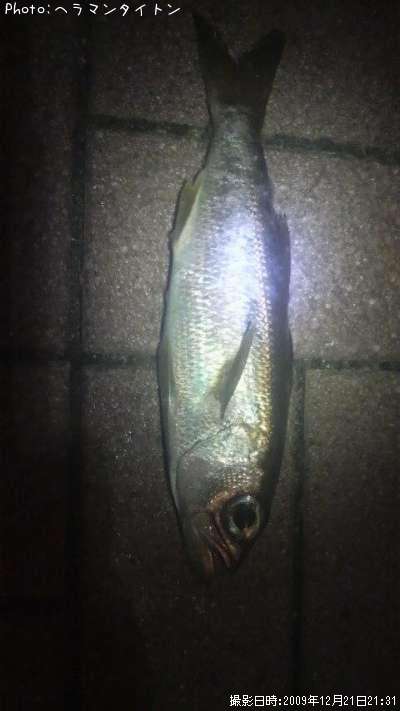 �ʤ�����