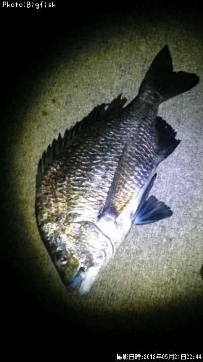 �ʥ�襦����