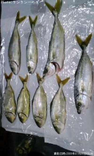 �ͥ���ȥ參��