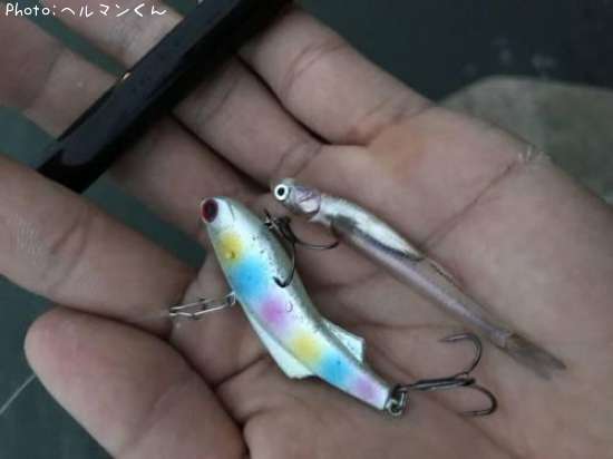 �ͥ��ʥ٥��ȡ�