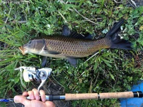 �˥�����