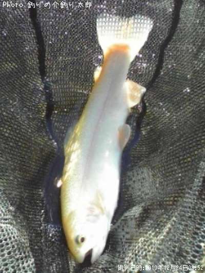 �˥��ޥ��ʥ���ӥΡ�