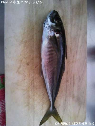 �Τɤ�����