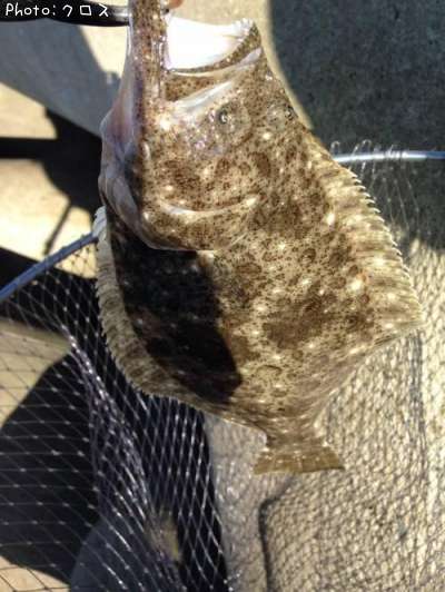 ��ƻ�Υ���