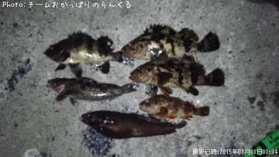 �ܾ�ε�����