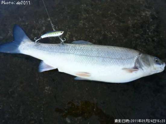 �����������á�