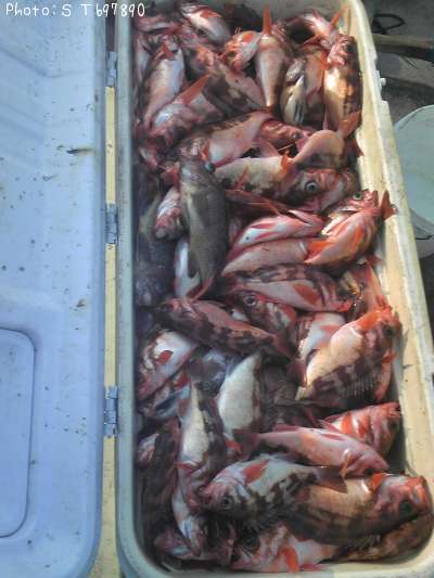 ������Х�