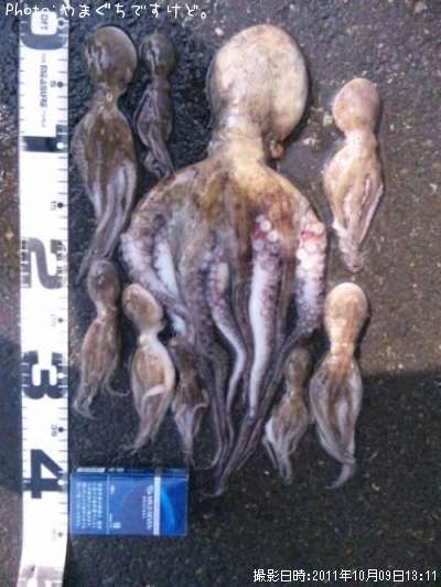 ������������������